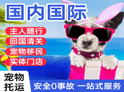 铜仁凤凰机场空运国际宠物托运 【国